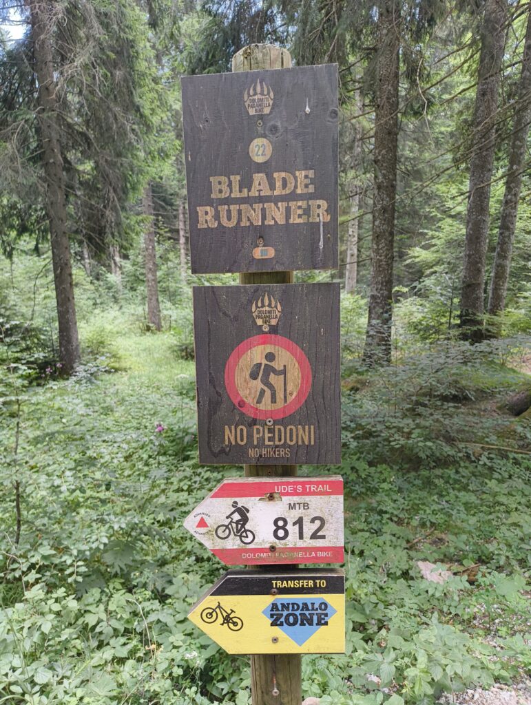 IMG 20260627 152753320 Kopie